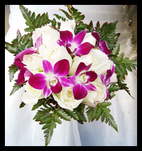 full circle websites red web